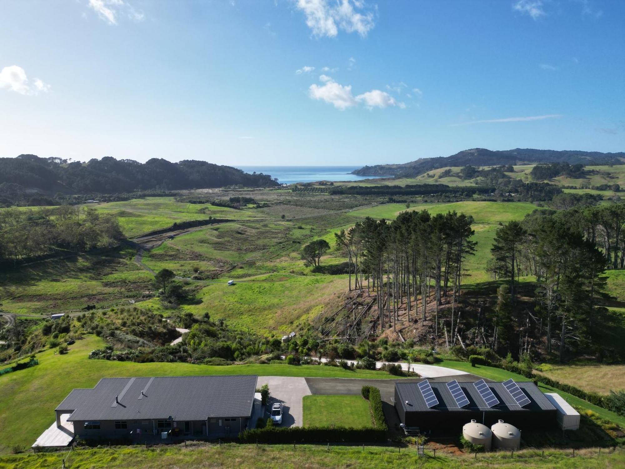 Hot Water Beach Lookout B&B Hahei Eksteriør bilde